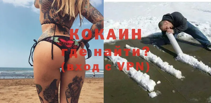 где купить   Алзамай  Кокаин VHQ 